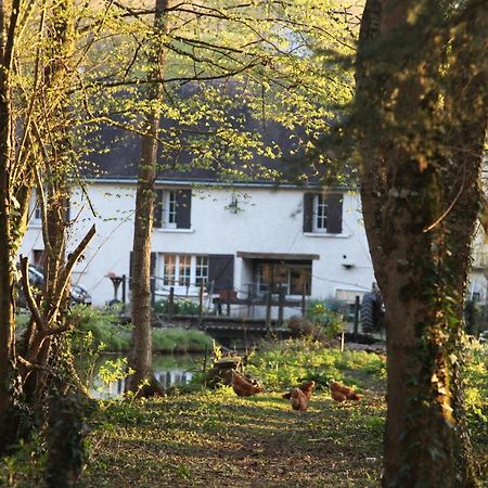 Fleurs De Brenne Gite Neuillé-le-Lierre エクステリア 写真
