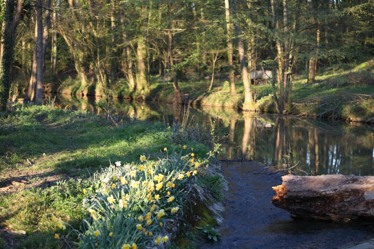 Fleurs De Brenne Gite Neuillé-le-Lierre エクステリア 写真