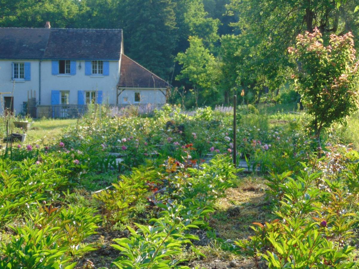 Fleurs De Brenne Gite Neuillé-le-Lierre エクステリア 写真