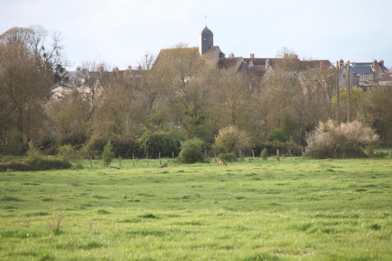Fleurs De Brenne Gite Neuillé-le-Lierre エクステリア 写真